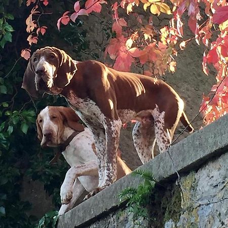 Villa Federici La Spezia Bagian luar foto
