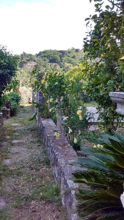 Villa Federici La Spezia Bagian luar foto